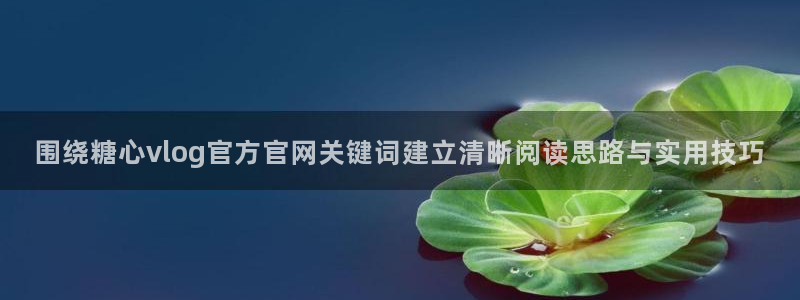 糖心视频免费在线观看