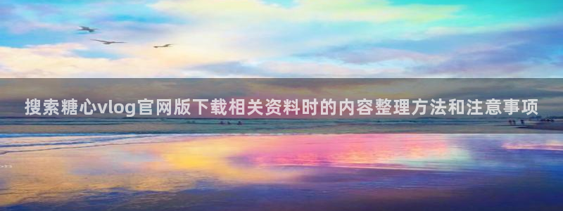 糖心vlog91