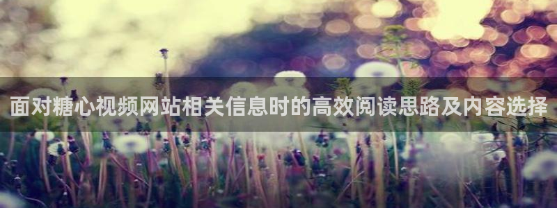 糖心官网入口
