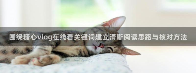 糖心代表作视频
