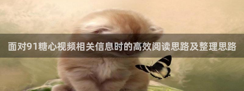 糖心网页版：面对91糖心视频相关信息时的高效阅读思路及整理思路