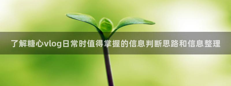 糖心vlog在线观看