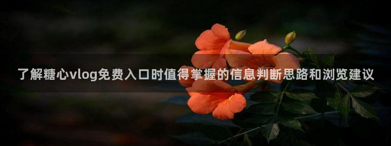 糖心免费：了解糖心vlog免费入口时值得掌握的信息判断思路和浏览建议