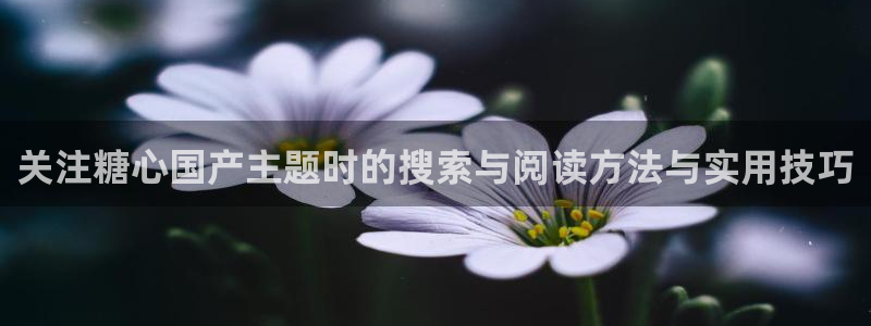 糖心官网：关注糖心国产主题时的搜索与阅读方法与实用技巧