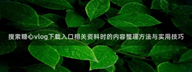 糖心vlog官方官网:搜索糖心vlog下载入口相关资料时的内容整理方法与实用技巧